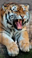 برنامه‌نما Tiger Wallpapers عکس از صفحه