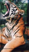 Tiger Wallpapers ภาพหน้าจอ 2