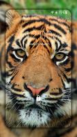 Tigre Wallpapers HD (fundos e temas) imagem de tela 3