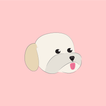 How Old is My Dog in Human Yea