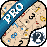 Okey Pro APK