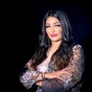 جميع اغاني احلام اليمني دون نت APK