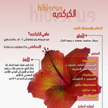 فوائد الكركدي