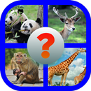 Tebak Nama Hewan APK