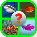 Tebak Nama Ikan APK