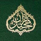 El Sagrado Corán icône