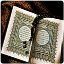 Surah-Surah Pilihan APK