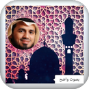 المصحف كامل بصوت ابو بكرالشاطرى APK