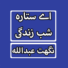 Aye Sitara Shab Zindagi By Nighat Abdullah Novel Zeichen