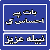 Baat Hai Ahsas Ki By Nabeela A Zeichen