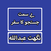 Besimt Justaju Ka Safar By Nighat Abdullah Novel