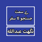 Besimt Justaju Ka Safar By Nighat Abdullah Novel Zeichen