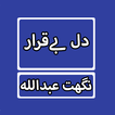 Dil Be Qarar By Nighat Abdullah Urdu Novel