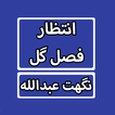 Intazar Fasal Gul By Nighat Abdullah Urdu Novel