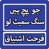 Jo Bache Hy Sang Samait Lo By  Zeichen
