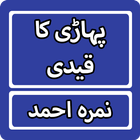 Pahari Ka Qaidi By Nimra Ahmed Zeichen