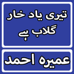 Teri Yaad Khar Gulab Hai By Umera Ahmed Urdu Novel
