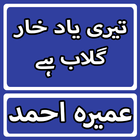 Teri Yaad Khar Gulab Hai By Umera Ahmed Urdu Novel biểu tượng