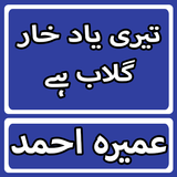 Teri Yaad Khar Gulab Hai By Umera Ahmed Urdu Novel Zeichen