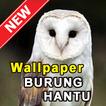 Wallpaper Burung Hantu