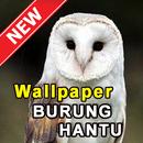 Wallpaper Burung Hantu APK