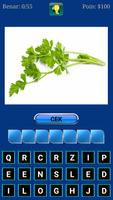 Tebak Nama Sayur poster