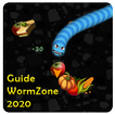 Guide Wormzone Snake icono