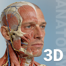 Anatomy Learn APK