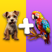 AI Animals: Animals Merge AI