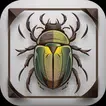 AI Insect & Bug Identifier App