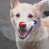 APK DragGAN AI 3D Image Revolution