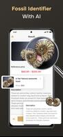 Fossil Identifier poster