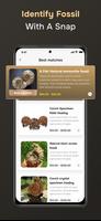 Fossil Identifier screenshot 1