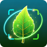 Leaf Identifier – Leafdify