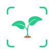 ArtReel - AI Plant Identifier