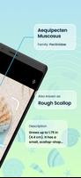 Seashell Identifier App screenshot 1