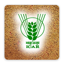 Forage Seed APK