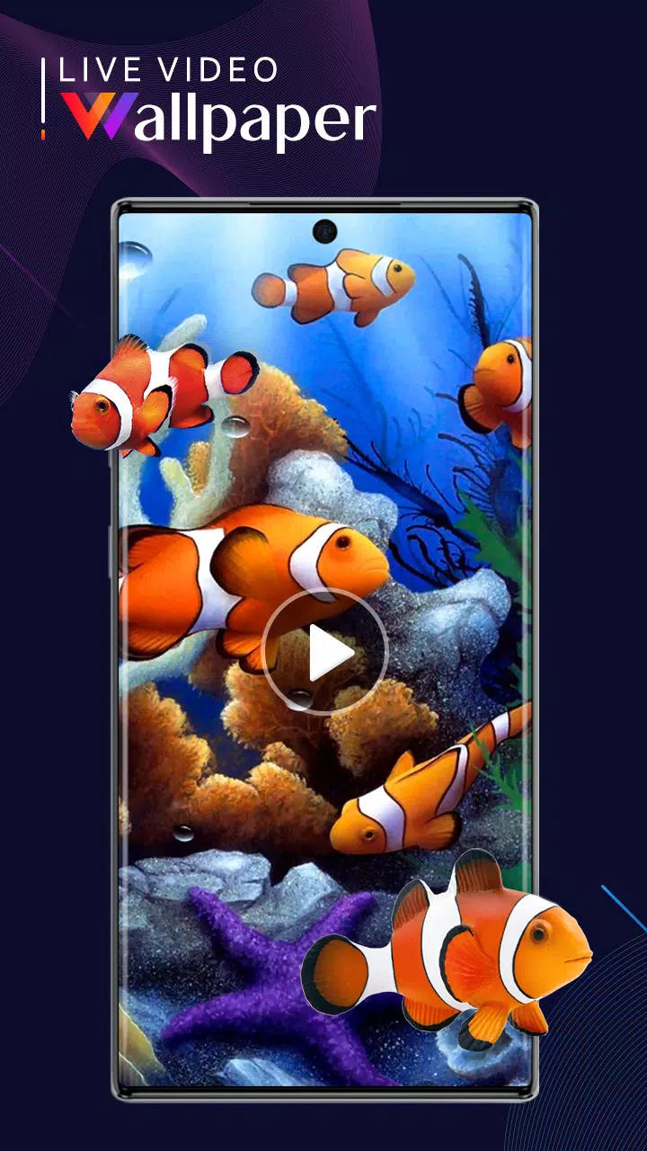 Video Live Wallpaper – Lock&Home Screen Wallpaper APK for Android Download Video Live Wallpaper – Lock&Home Screen Wallpaper APK for Android Download
