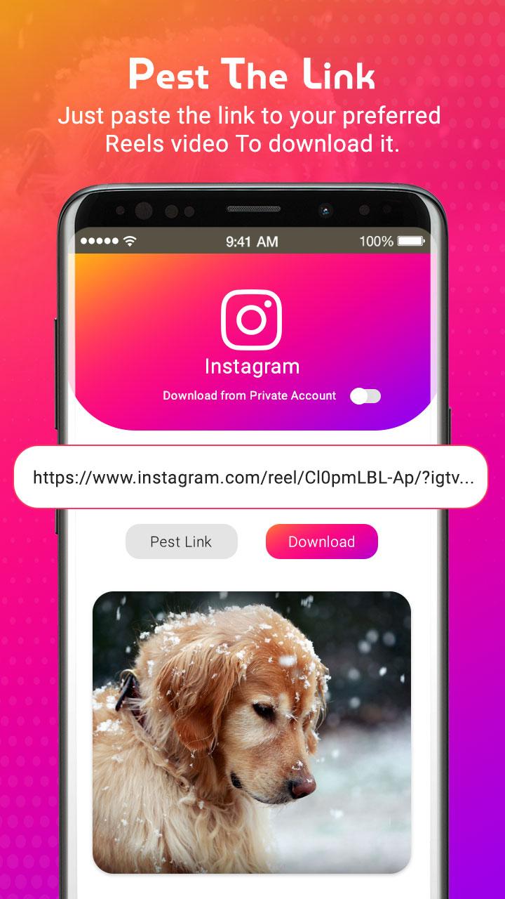 pic Instagram Reels Video Download By Link Private Account apk pure