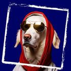 AI Pet Generator - Portraits icon