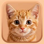 Cute Cat & Kitten 4K