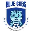 AIFF Blue Cubs