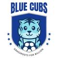 AIFF Blue Cubs
