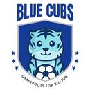 APK AIFF Blue Cubs