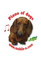 कुत्तों के पियानो पोस्टर