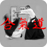 Aikido Library Free icon