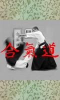 Aikido Library Free poster