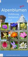 Alpenblumen Pro Plakat