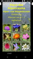 Flora des Alpenraums plakat