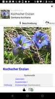 برنامه‌نما Flora des Alpenraums عکس از صفحه